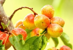 ����ˮ��֮������