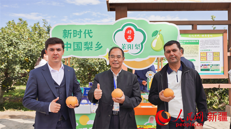 ��ֳ��������� ��������